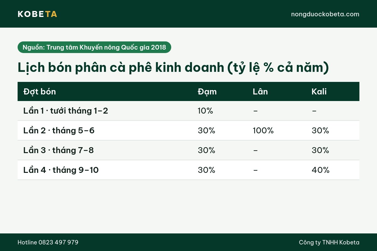 Lịch bón phân cho cà phê kinh doanh theo 4 đợt trong năm