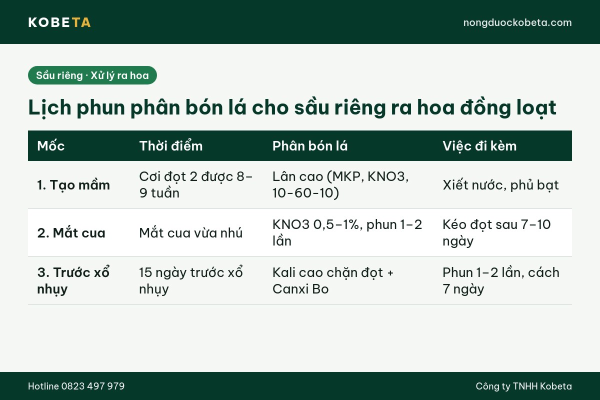 Bảng lịch phun phân bón lá cho sầu riêng ra hoa đồng loạt theo 3 mốc