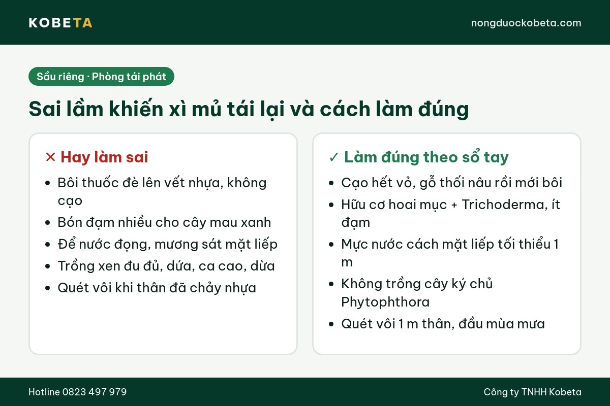 Sai lầm khiến sầu riêng xì mủ tái lại và cách làm đúng