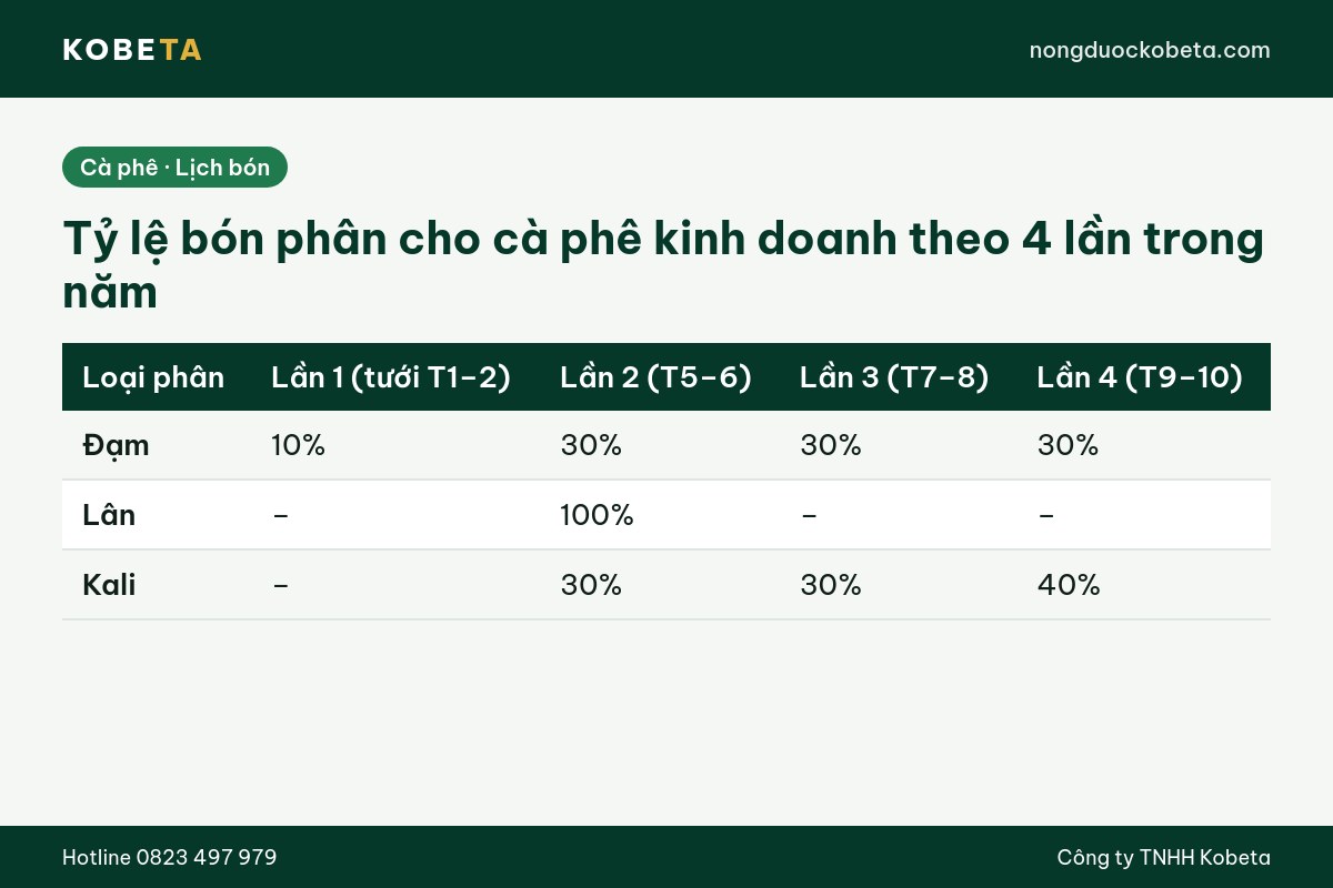 Bảng tỷ lệ bón phân cho cà phê theo 4 lần trong năm để hạn chế rụng quả non