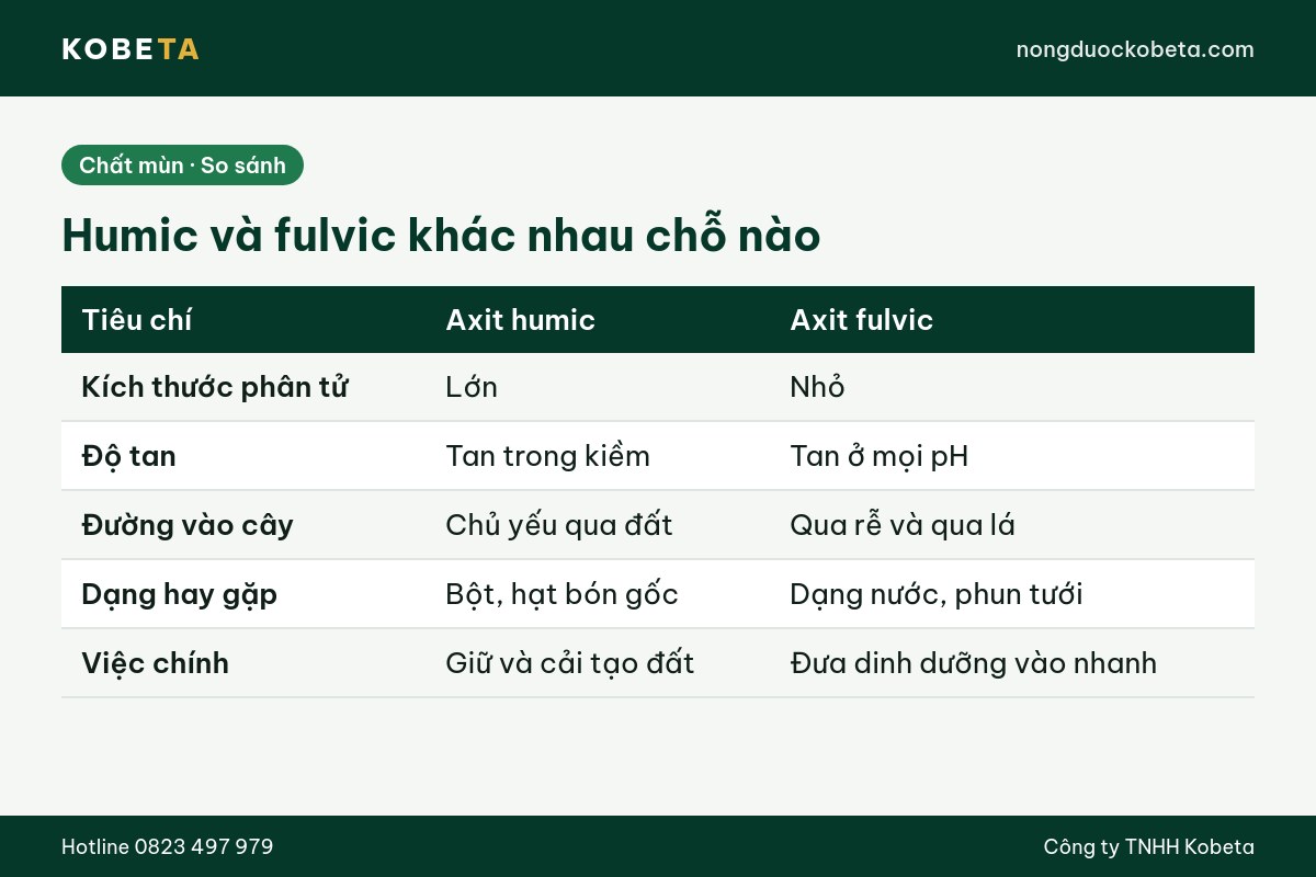 Bảng so sánh axit humic và axit fulvic theo độ tan và đường vào cây