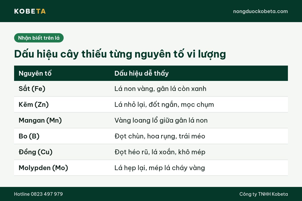 Bảng dấu hiệu cây thiếu vi lượng theo từng nguyên tố