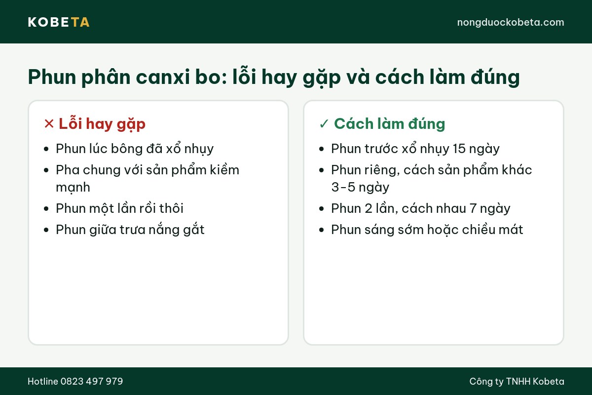 Lỗi thường gặp khi phun phân canxi bo và cách làm đúng