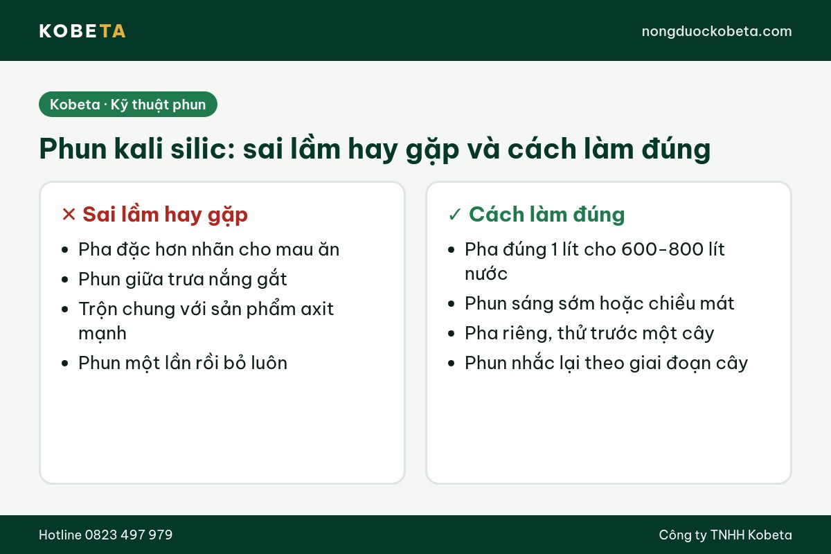 Sai lầm hay gặp khi phun kali silic và cách làm đúng