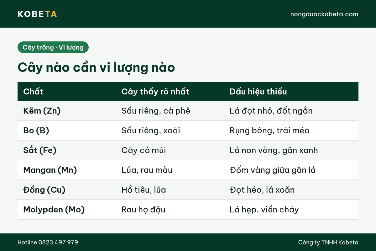 Bảng cây nào cần phân vi lượng nào và dấu hiệu thiếu trên cây