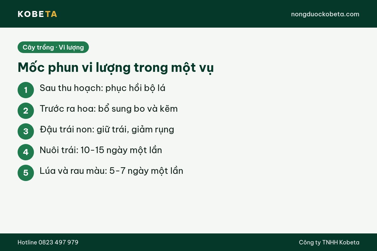 Mốc phun phân vi lượng cho cây theo từng giai đoạn trong vụ