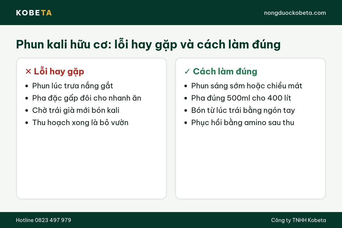 So sánh lỗi hay gặp và cách làm đúng khi phun kali hữu cơ cho cây trồng