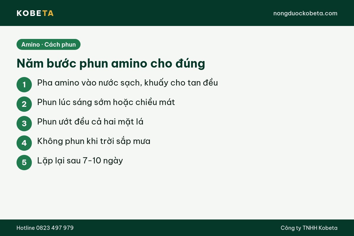 Năm bước phun amino cho đúng từ pha nước sạch đến lặp lại sau 7 đến 10 ngày