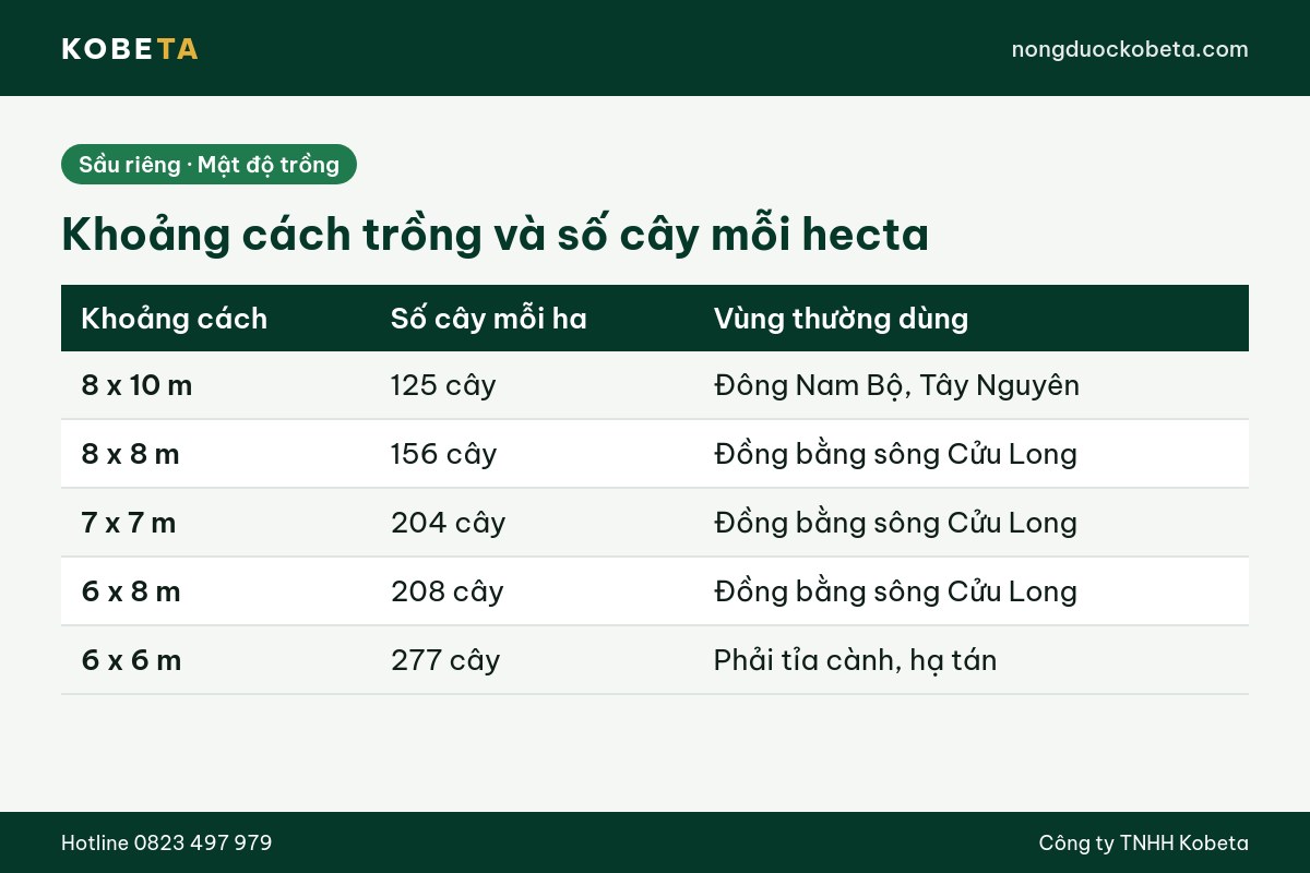 Bảng khoảng cách trồng sầu riêng và số cây mỗi hecta