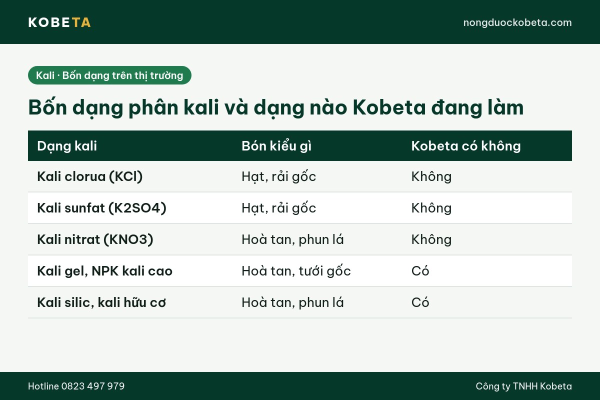 Bảng bốn dạng phân kali và cách bón từng dạng