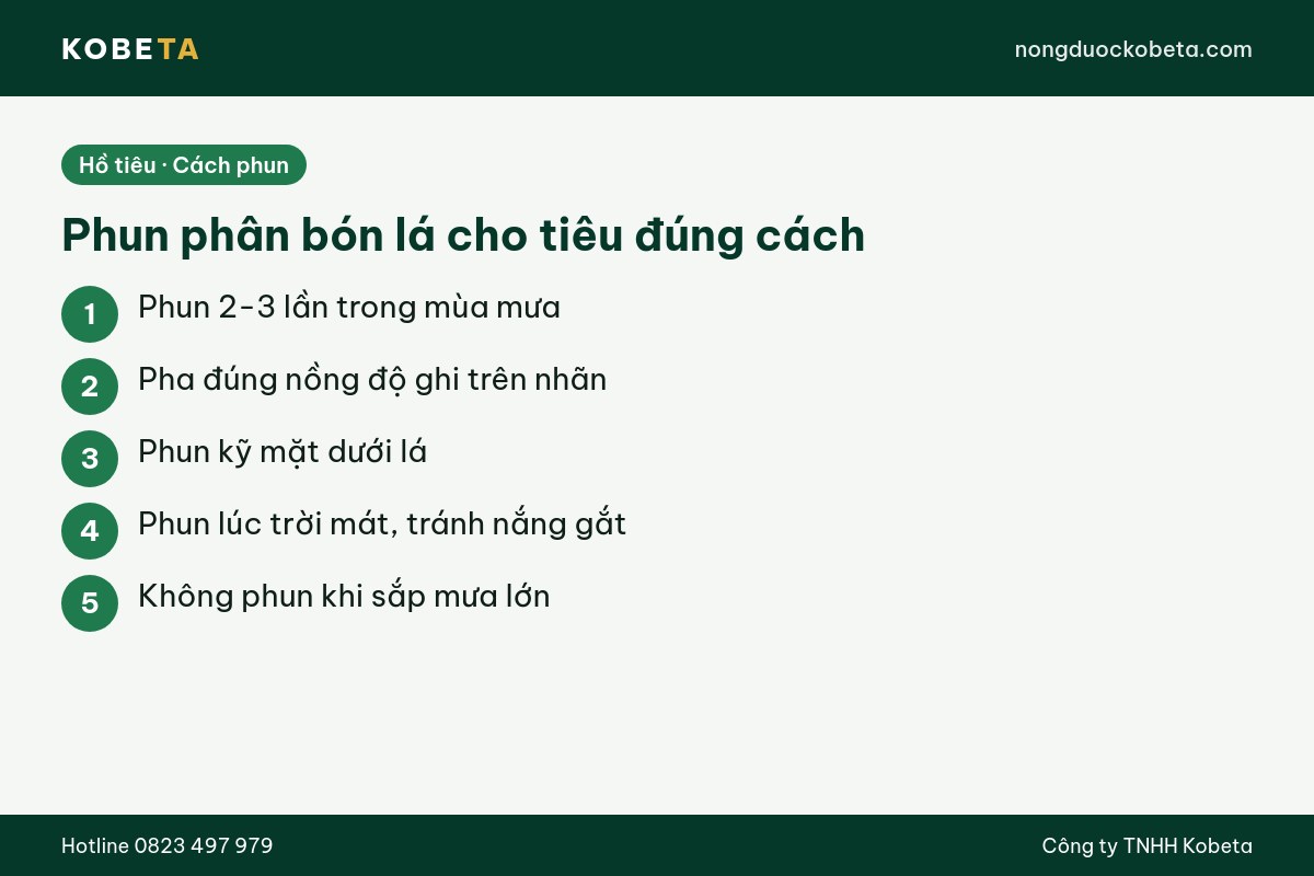Năm bước phun phân bón lá cho cây tiêu đúng cách