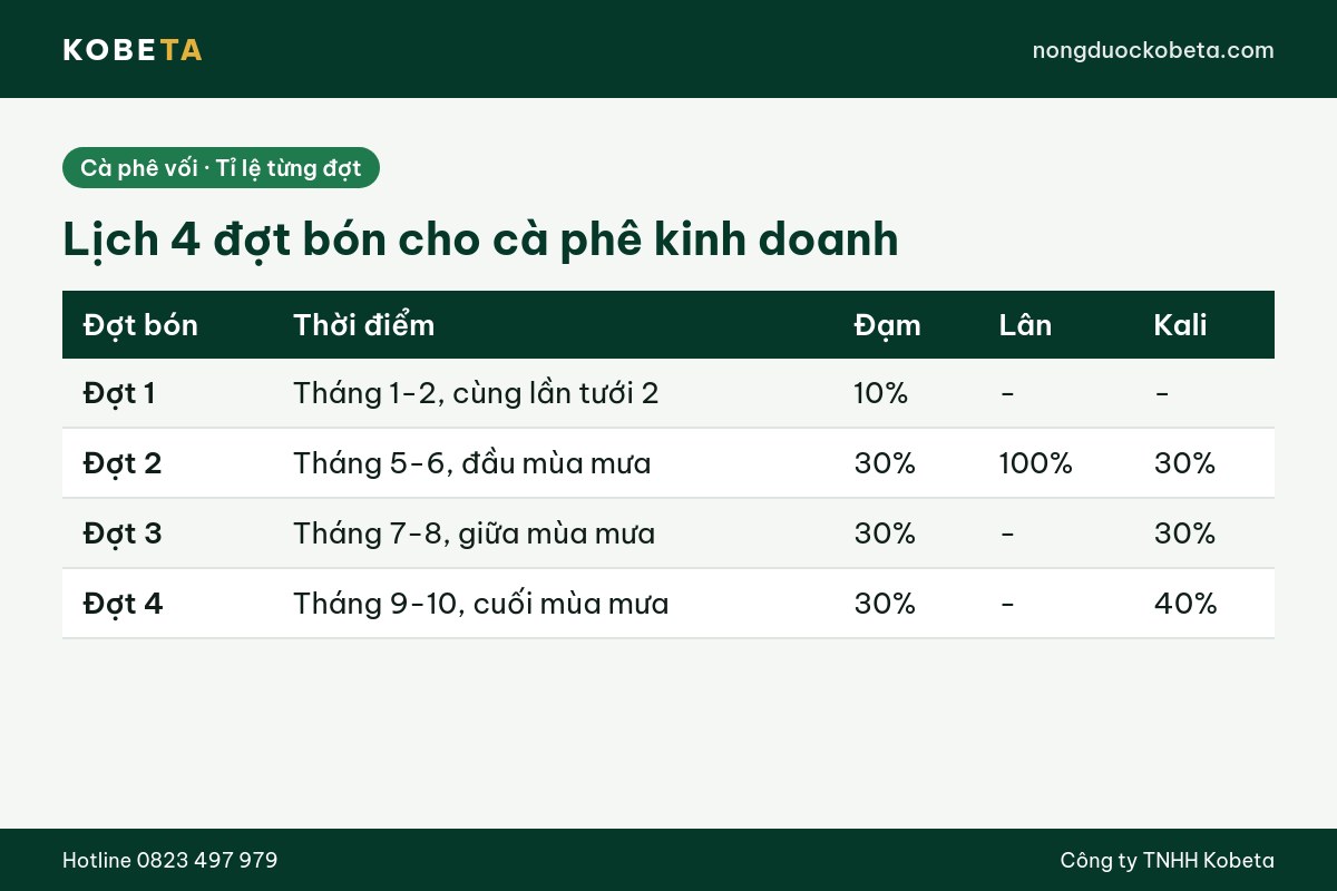 Lịch 4 đợt bón thúc nuôi trái cho cà phê mùa mưa và tỉ lệ đạm lân kali từng đợt