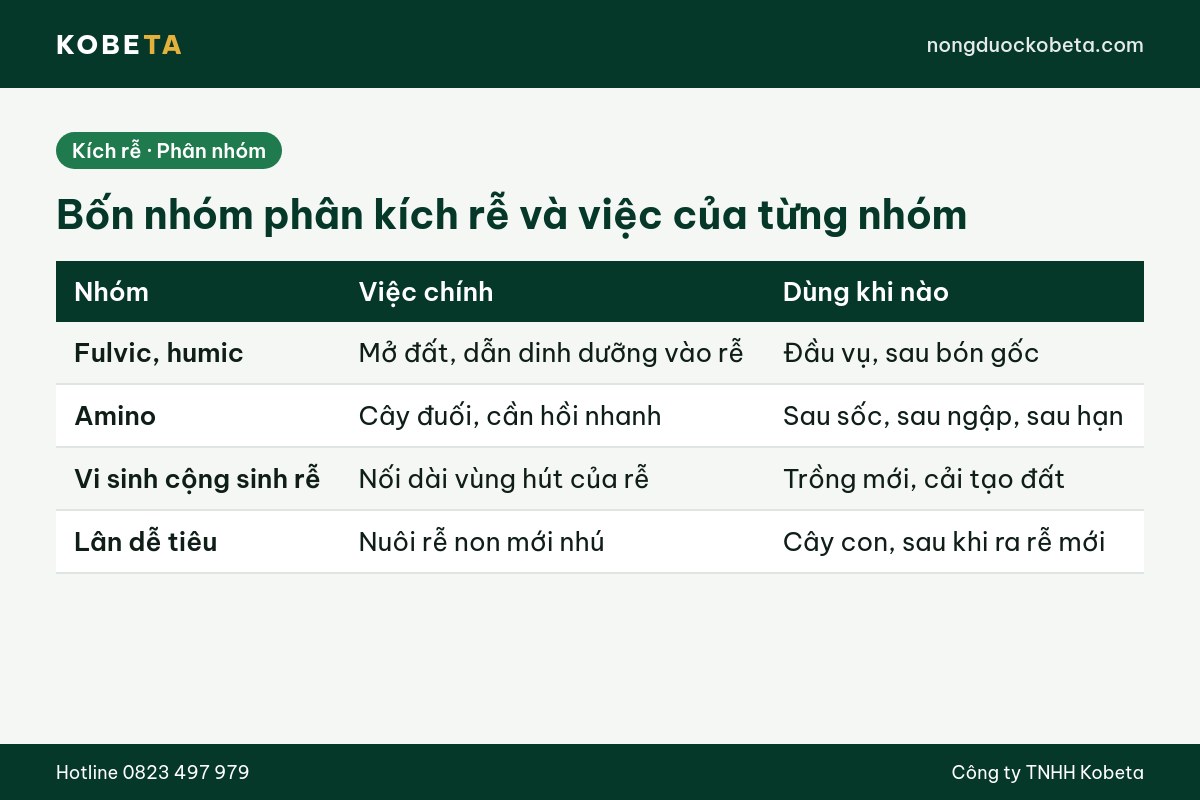 Bảng bốn nhóm phân kích rễ và thời điểm dùng cho cây trồng