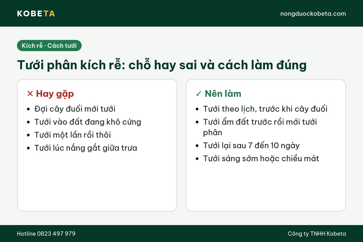 So sánh cách tưới phân kích rễ sai và đúng cho cây trồng