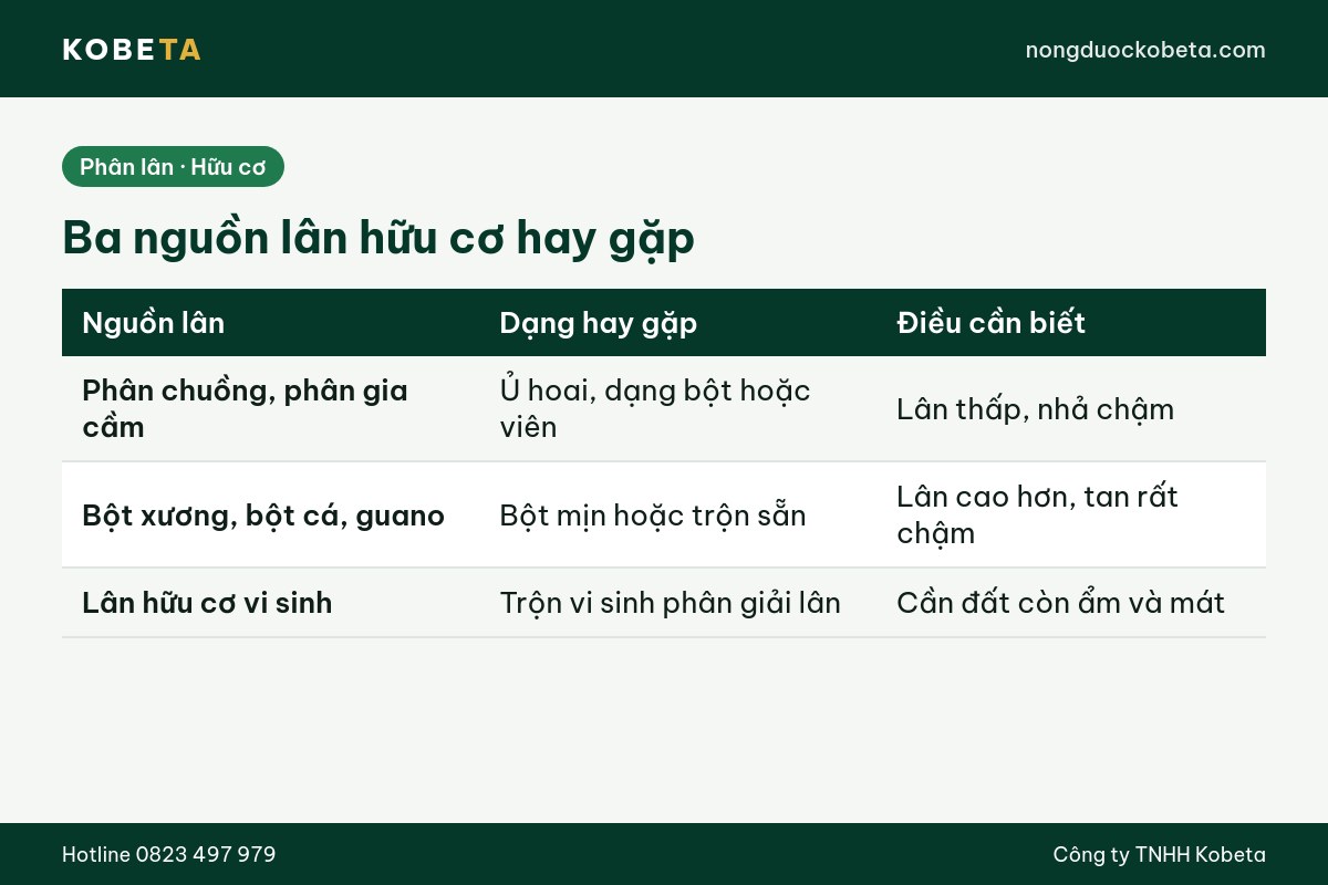 Bảng ba nguồn phân lân hữu cơ hay gặp và điều cần biết