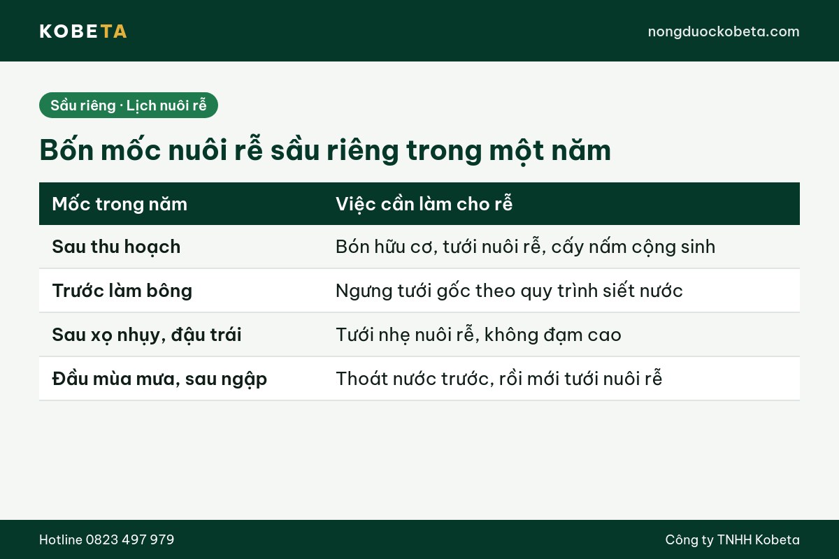 Bảng bốn mốc nuôi rễ cho sầu riêng trong một năm