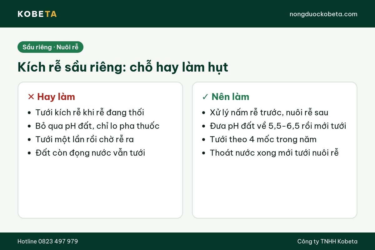 So sánh cách kích rễ cho sầu riêng hay làm hụt và cách nên làm