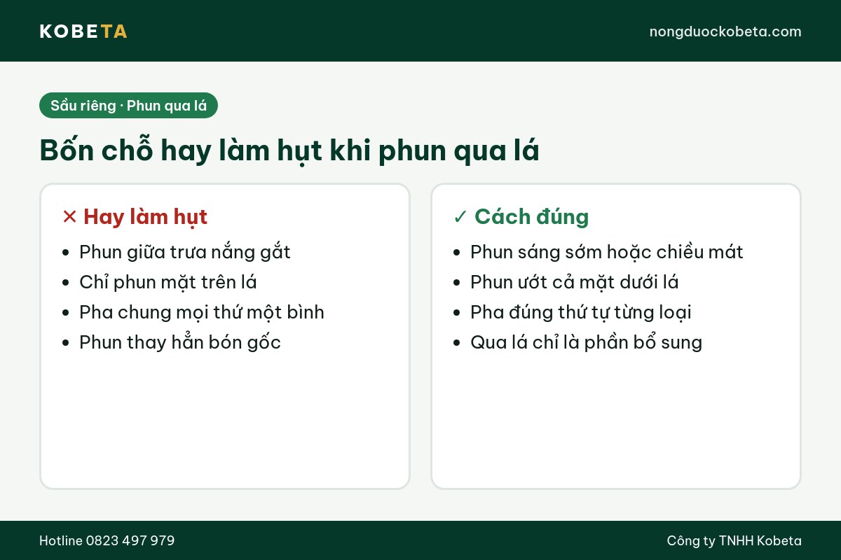 Bốn chỗ hay làm hụt khi phun phân bón lá cho sầu riêng và cách đúng