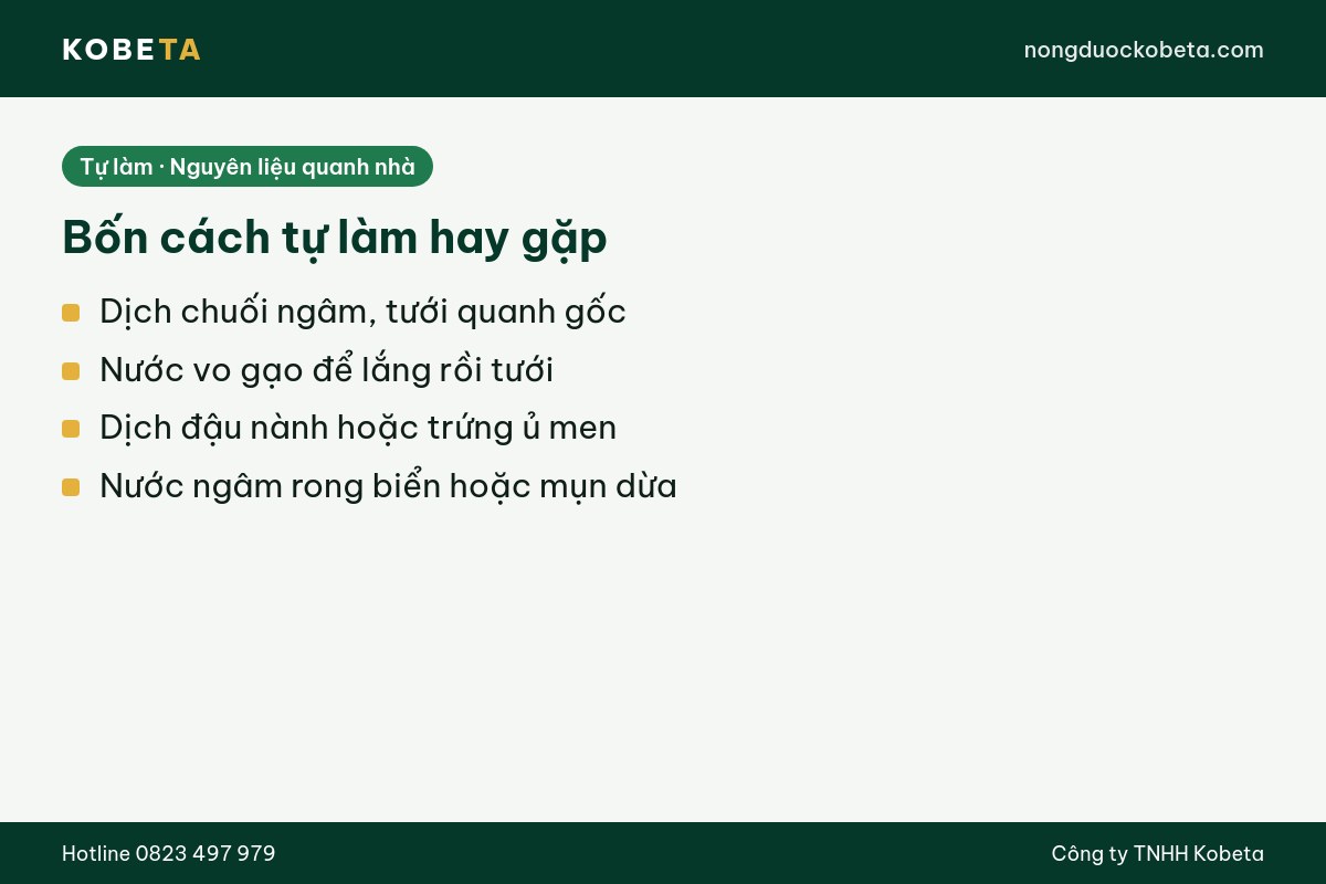 Bốn cách tự làm thuốc kích rễ cho cây hay gặp