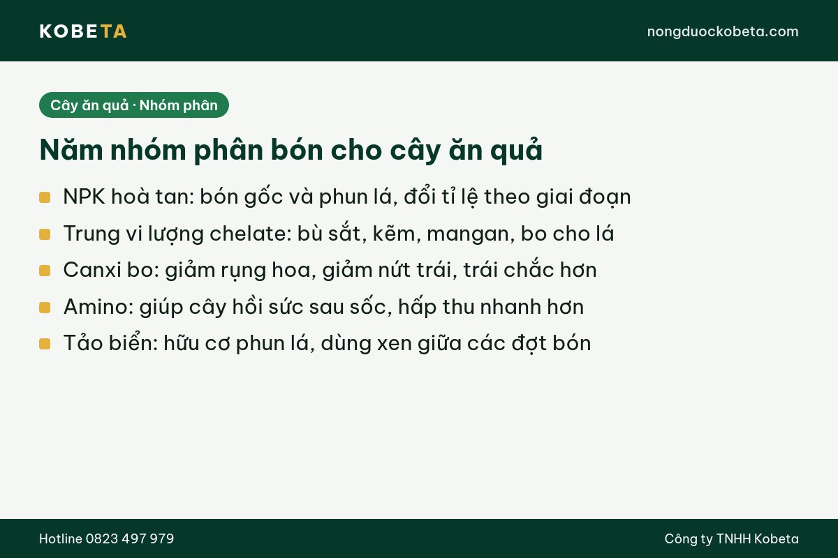 Năm nhóm phân bón cho cây ăn quả và việc chính của từng nhóm