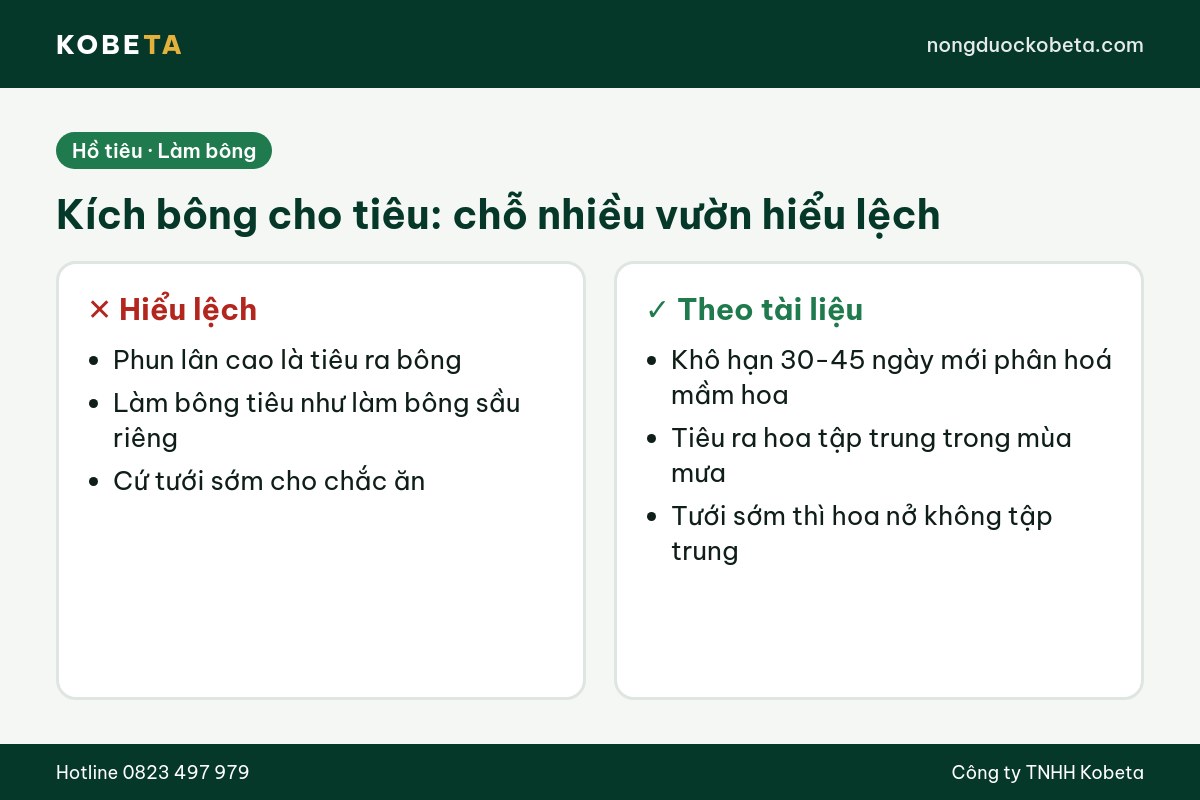Tiêu phun kích bông 10-60-10 được không: chỗ nhiều vườn hiểu lệch