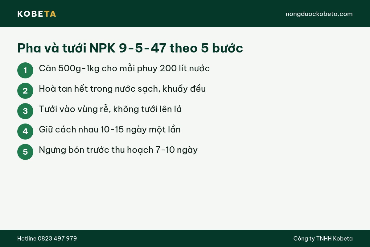 Pha và tưới NPK 9-5-47 theo 5 bước