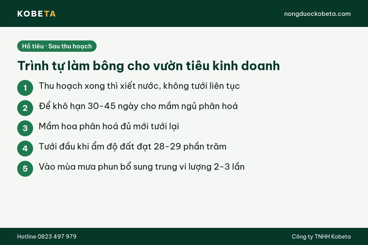 Trình tự làm bông cho vườn hồ tiêu kinh doanh