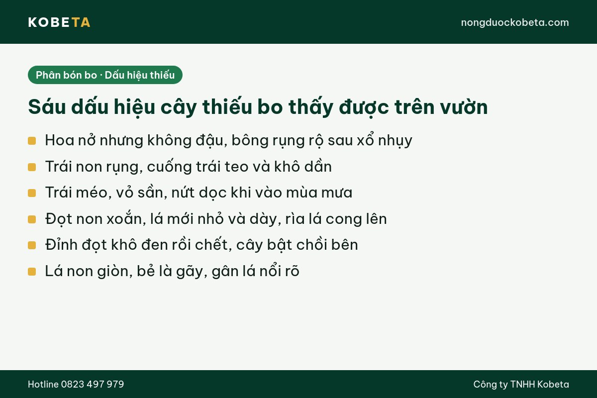 Sáu dấu hiệu cây thiếu bo cần bù phân bón bo