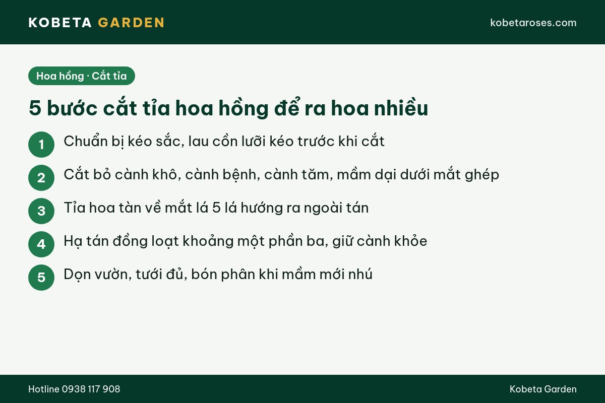 Hình ảnh bài viết