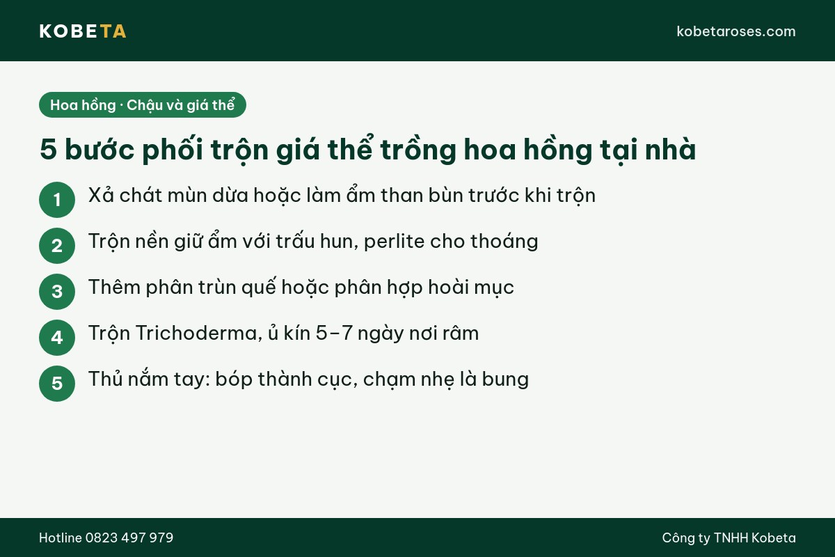 Hình ảnh bài viết