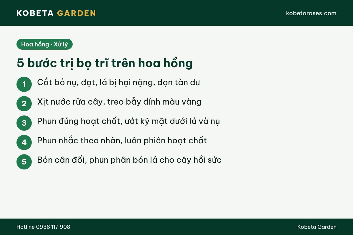 Hình ảnh bài viết