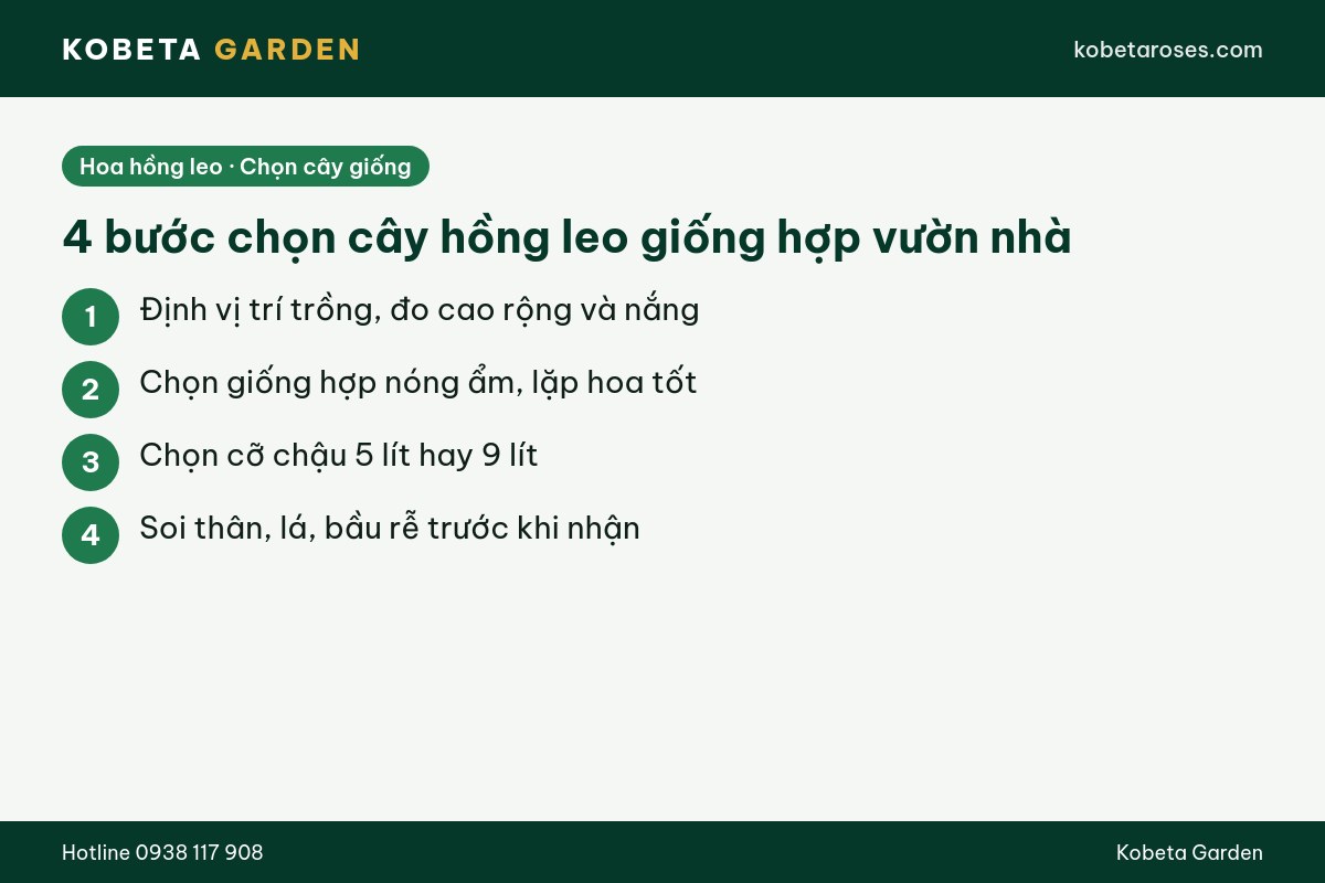 Hình ảnh bài viết