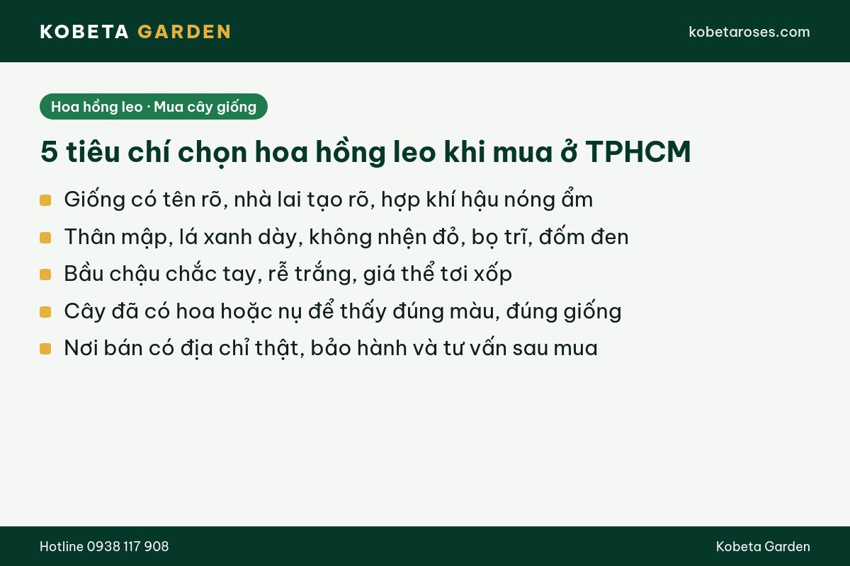 Hình ảnh bài viết