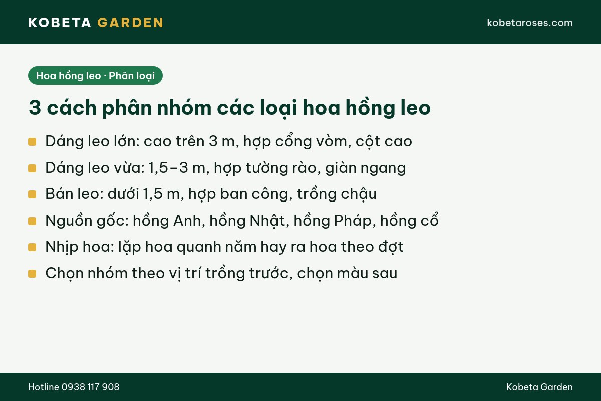 Hình ảnh bài viết