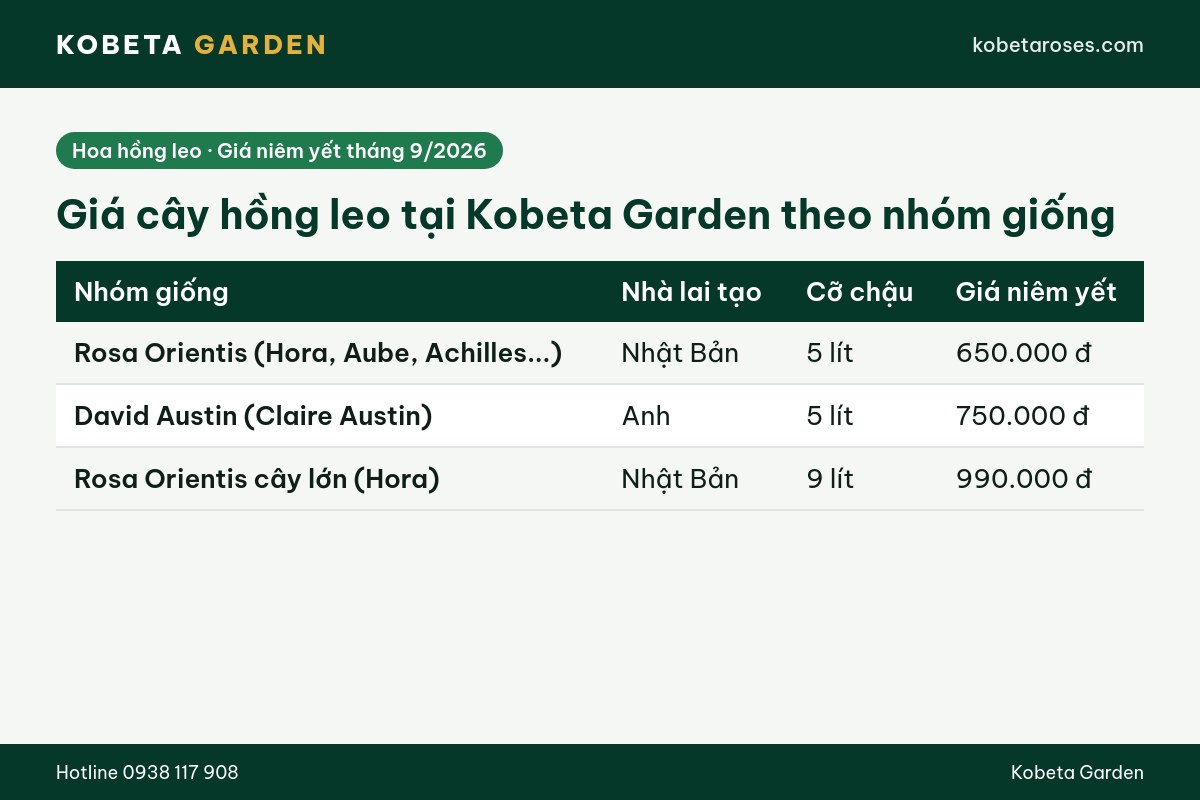 Hình ảnh bài viết