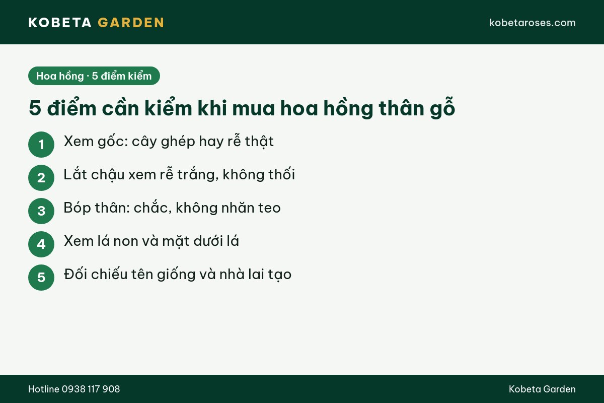 Hình ảnh bài viết