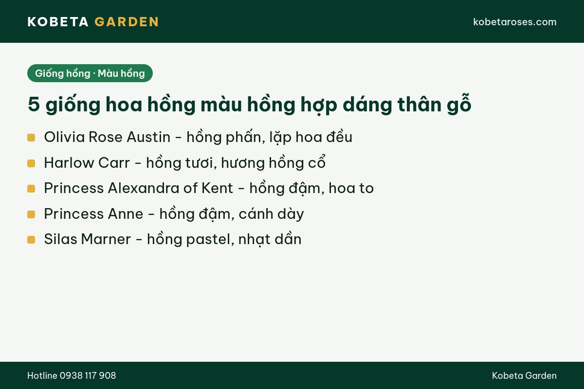Hình ảnh bài viết