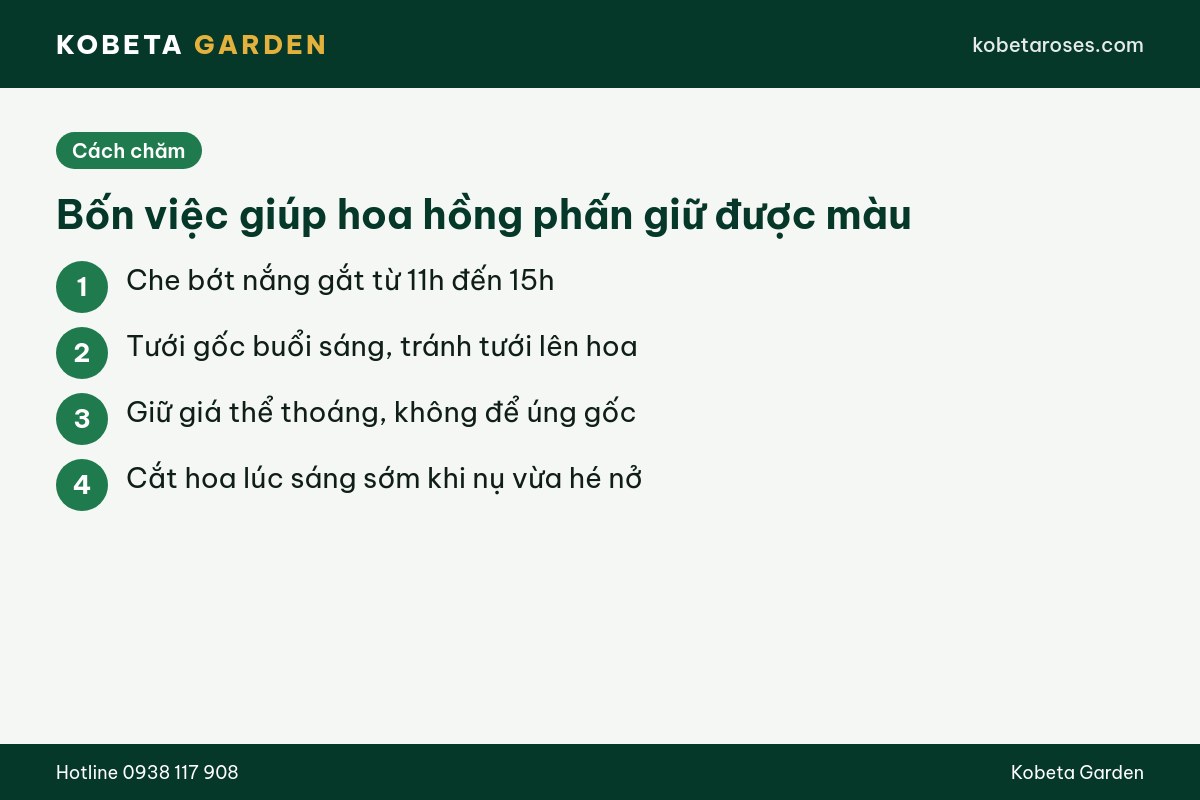 Hình ảnh bài viết