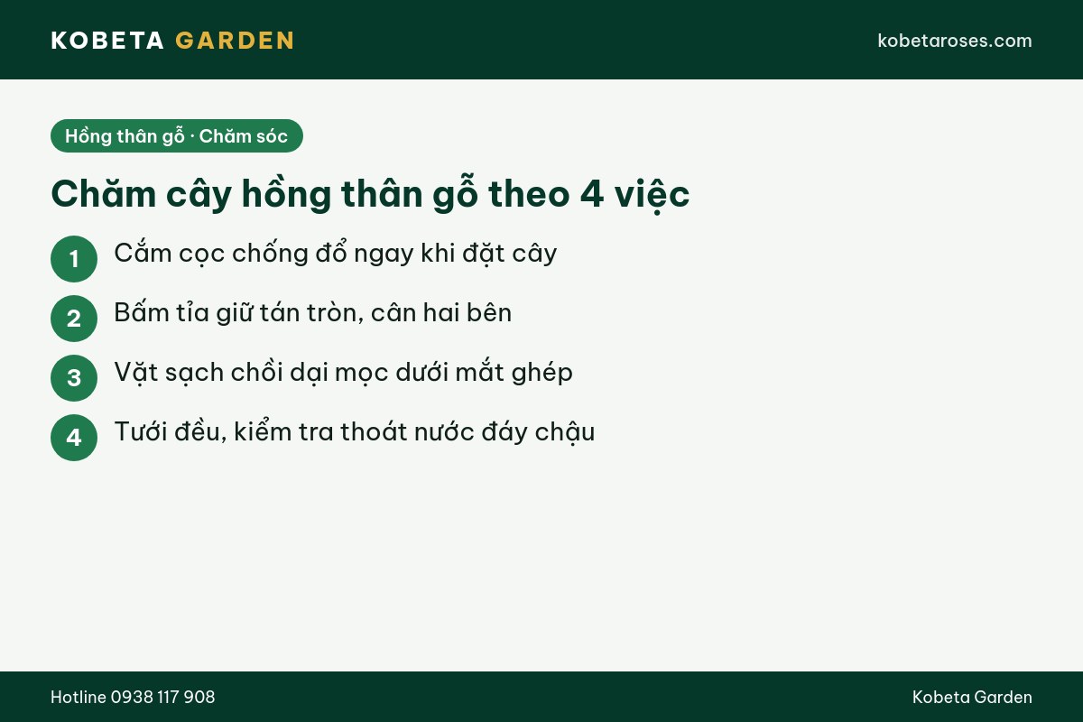 Hình ảnh bài viết