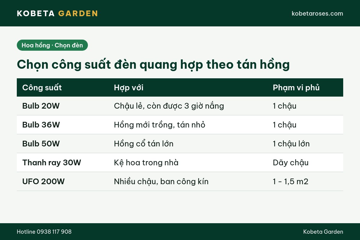 Hình ảnh bài viết