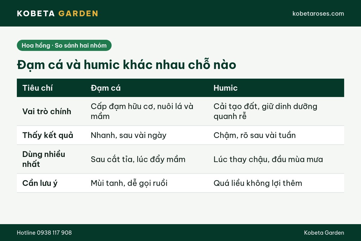 Hình ảnh bài viết