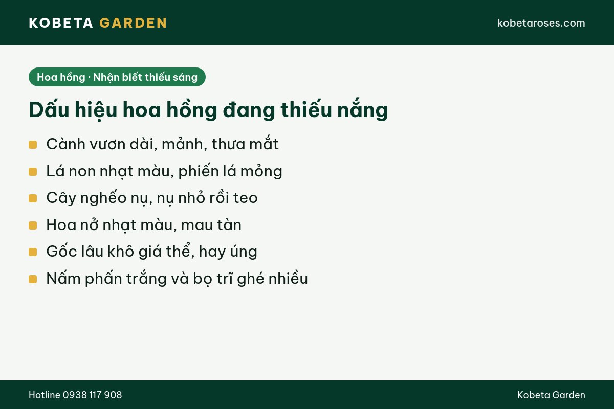 Hình ảnh bài viết