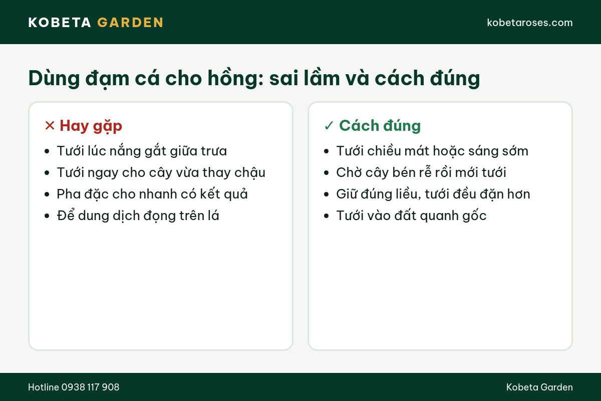 Hình ảnh bài viết