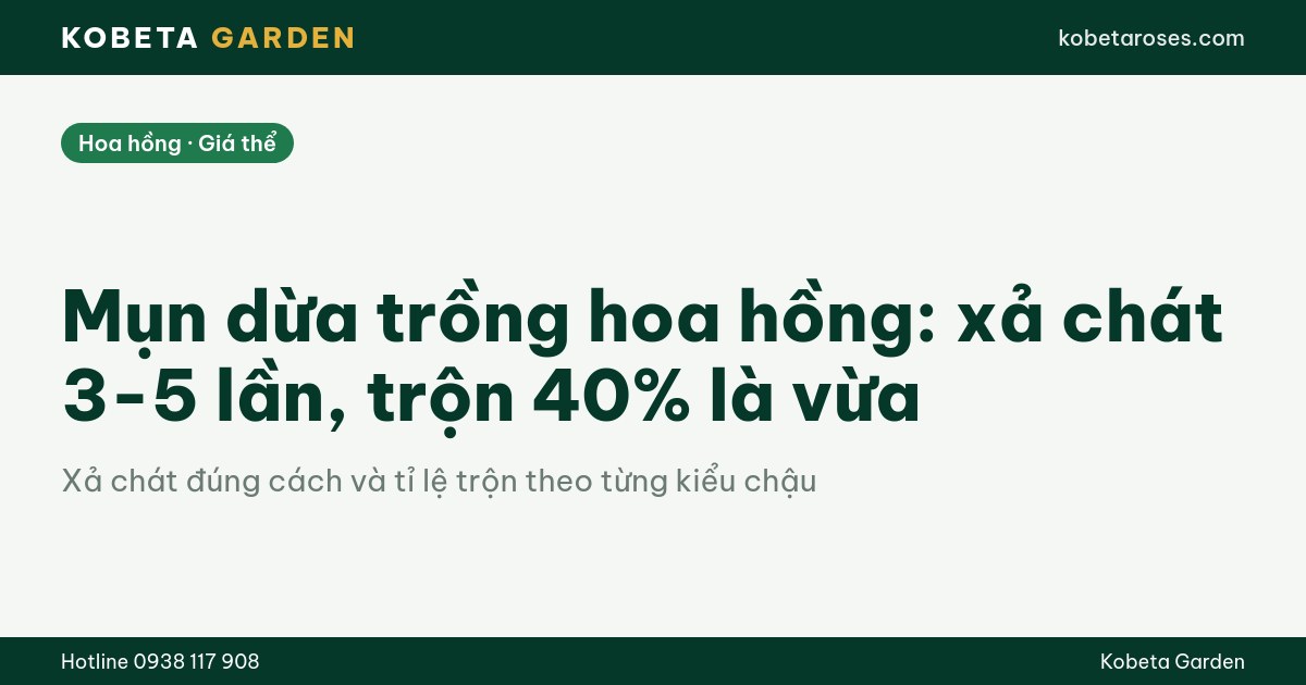 Hình ảnh bài viết