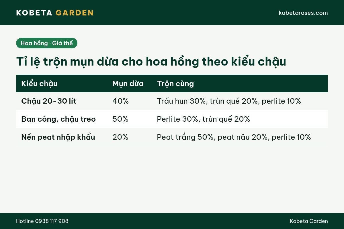 Hình ảnh bài viết