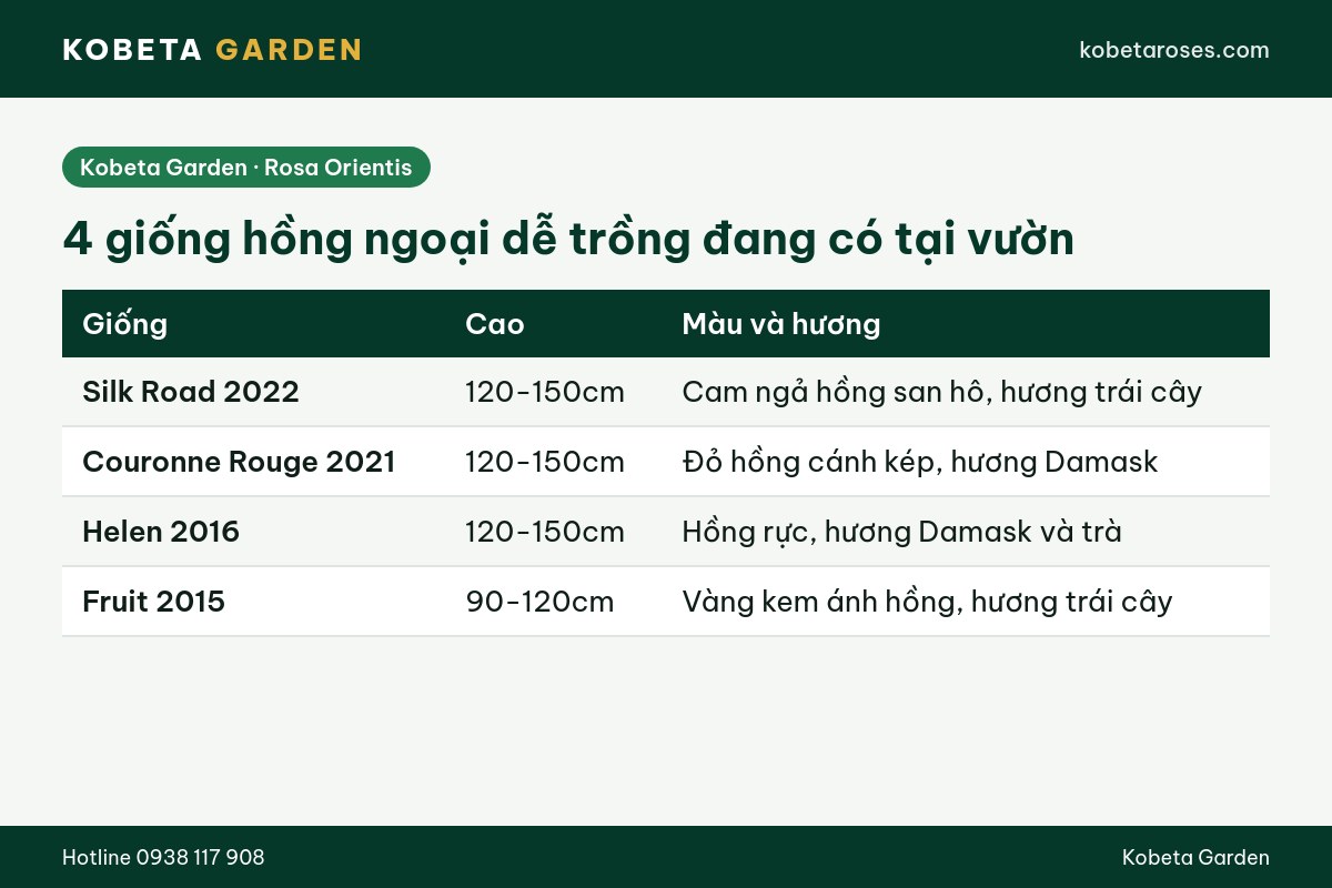 Hình ảnh bài viết