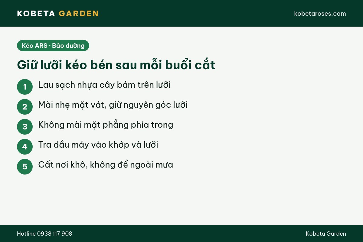 Hình ảnh bài viết