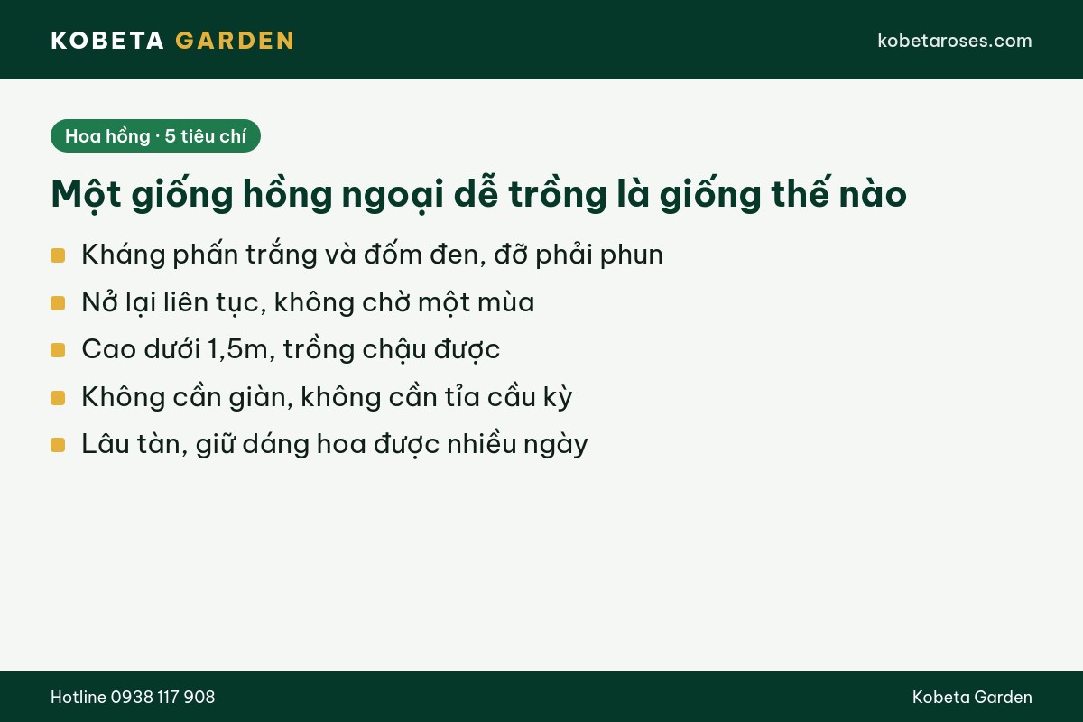 Hình ảnh bài viết