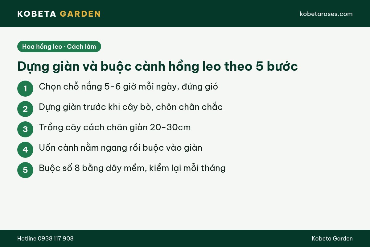 Hình ảnh bài viết