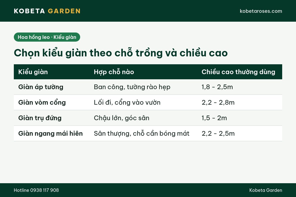 Hình ảnh bài viết